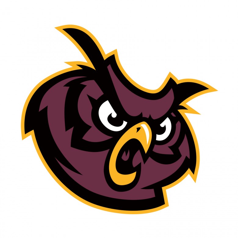 High-School-Logo-Mascot-ties