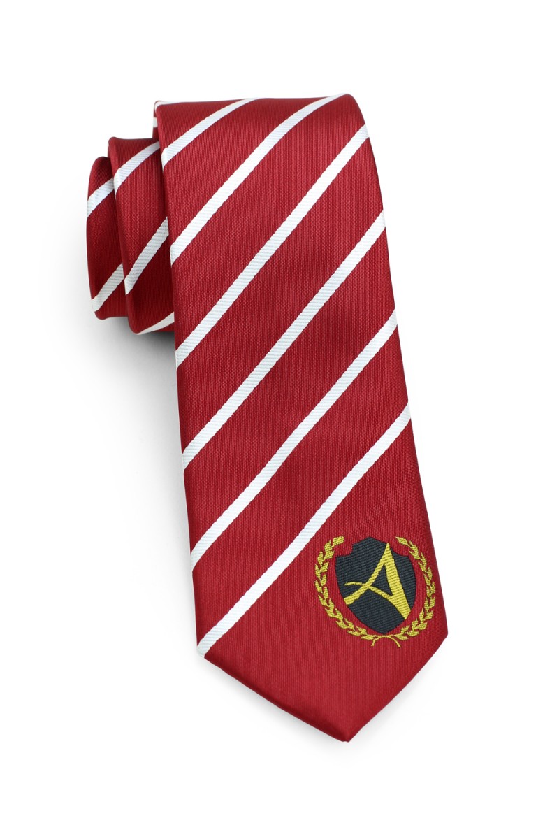 custom logo boys school neckties