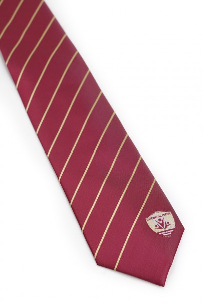 custom logo tie for school