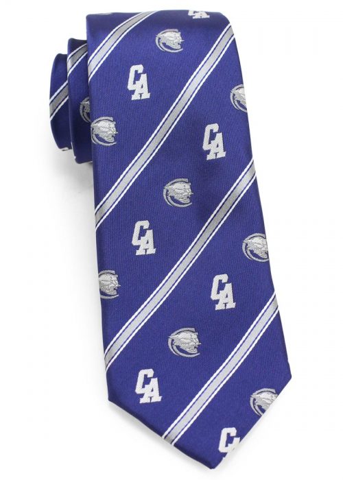 Custom Woven Necktie with Logo and Mascot for School 