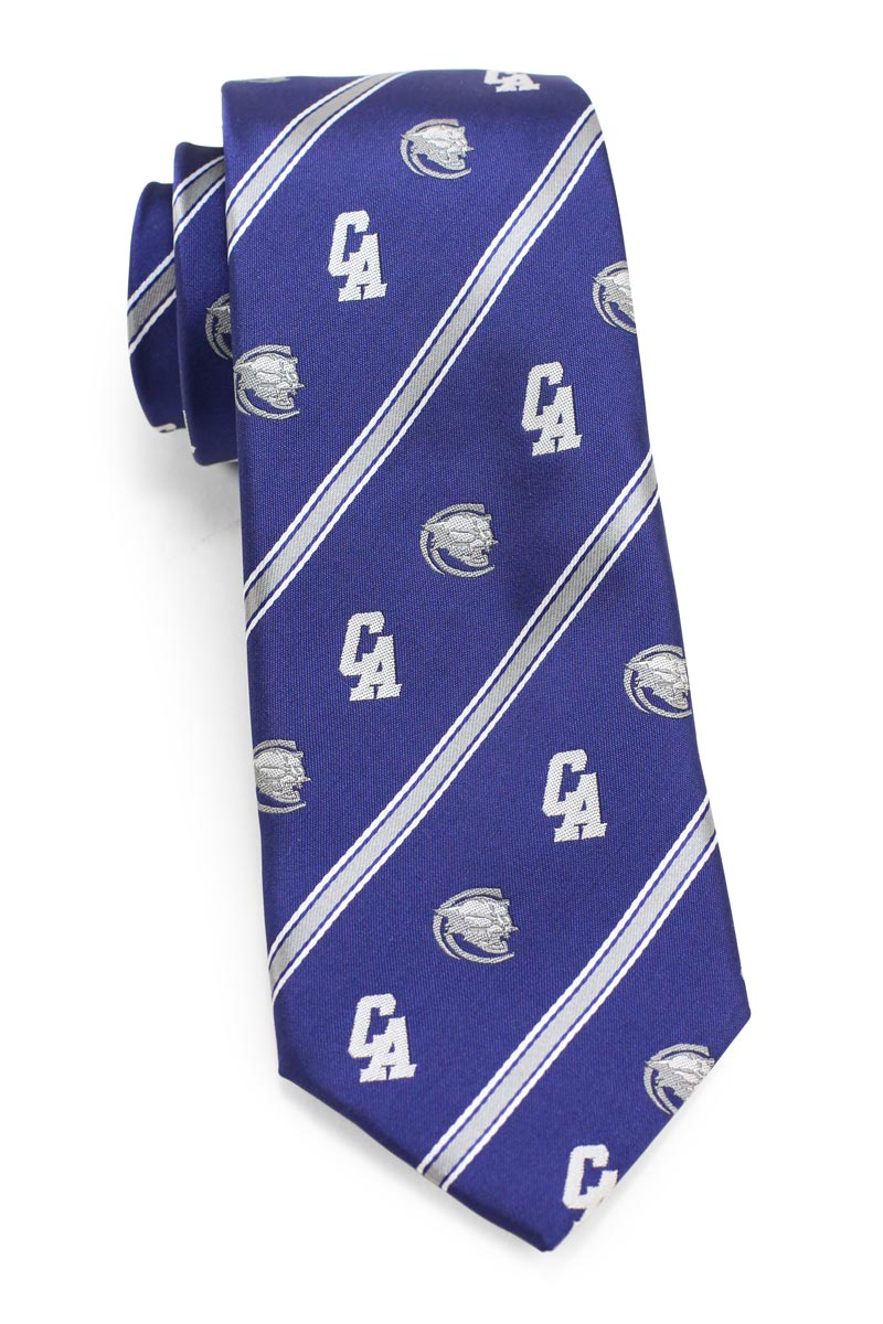 custom woven striped tie with logos