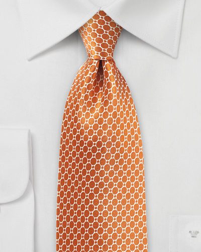 Satin Silk Designer Tie in Burnt Orange