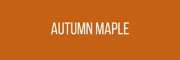 Menswear Color Of The Month - Autumn Maple Orange