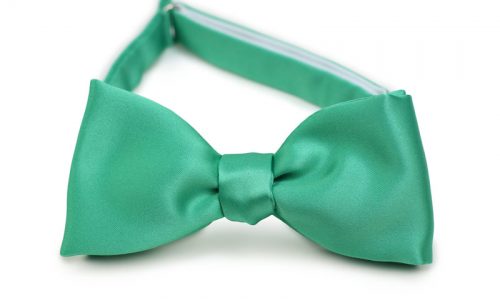 Gallery Green Self Tie Bow Tie