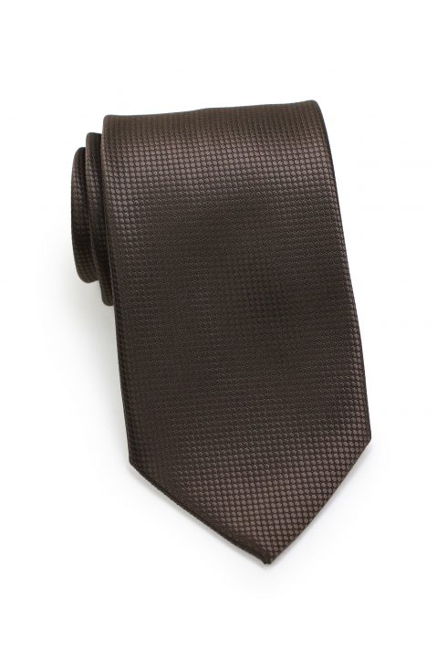 Textured Shiny Mens Necktie in Brown