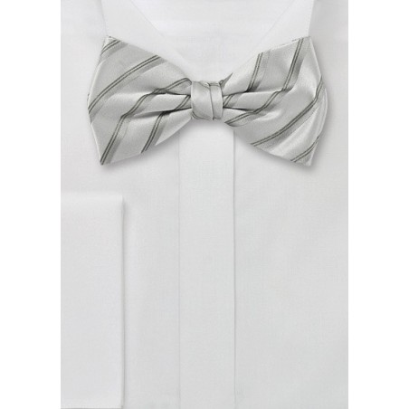 Silver Gray Striped Bow Tie