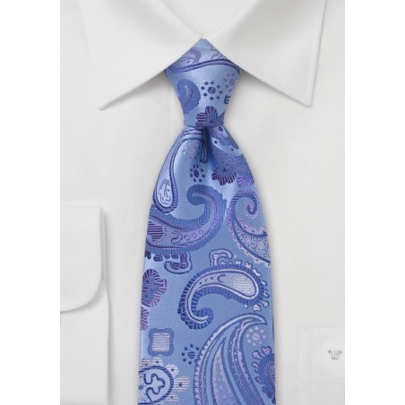 Modern Paisley Tie in Blue