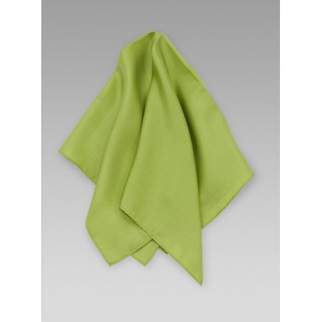 Solid Sage Green Womens Silk Scarf