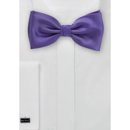 Solid Purple Bow Tie