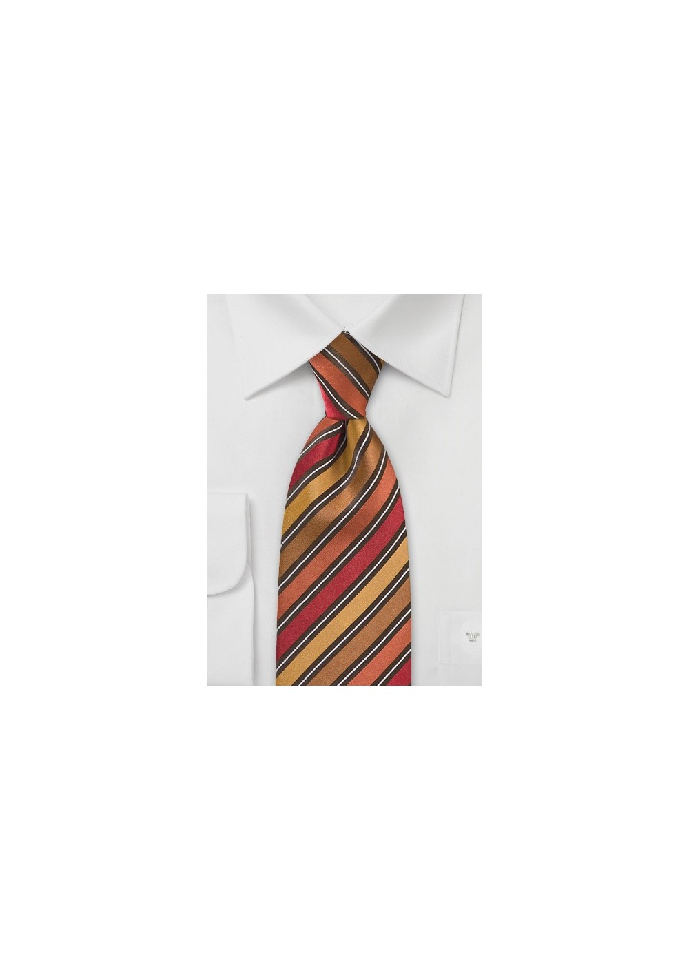 Autumn Hued Striped Necktie