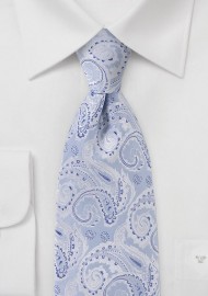 Elegant Blue and Silver Paisley Tie