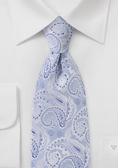 Elegant Blue and Silver Paisley Tie