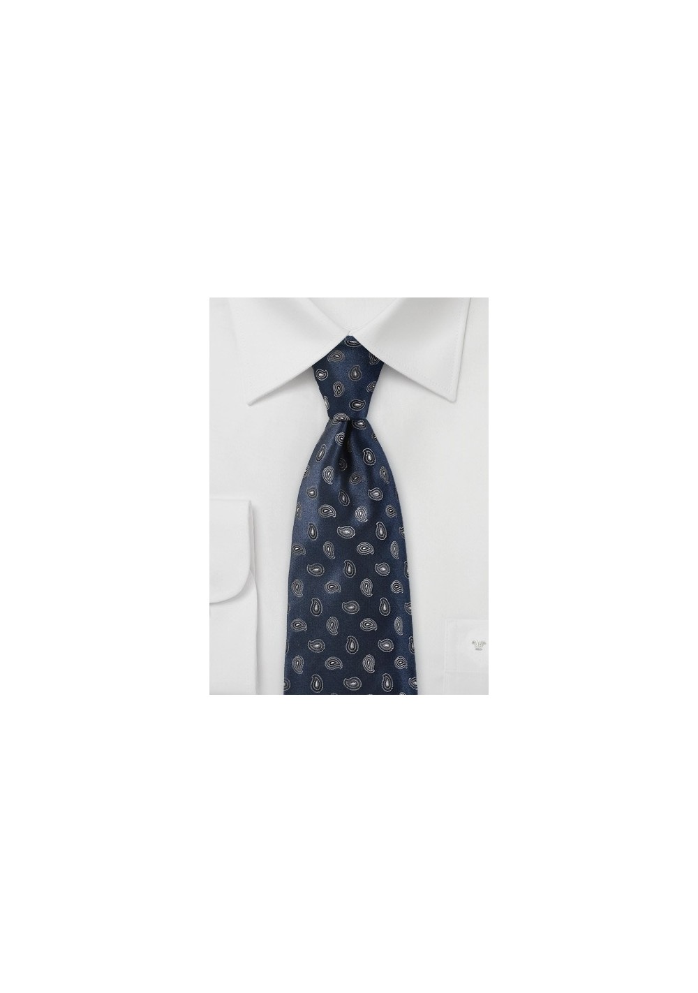 Modern Paisley Tie in Navy and Silver
