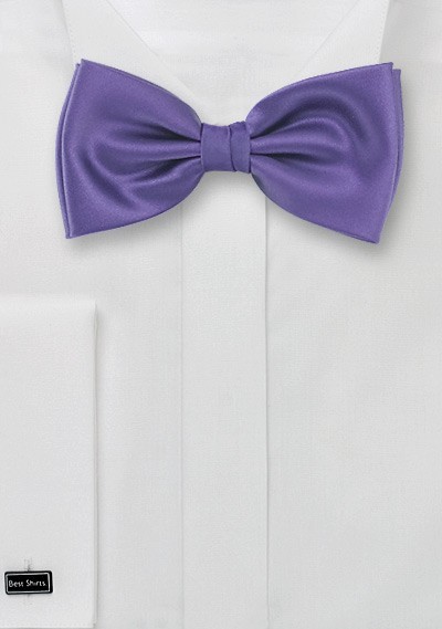 Rich Lilac Colored Bow Tie