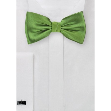 Fern Green Bow Tie
