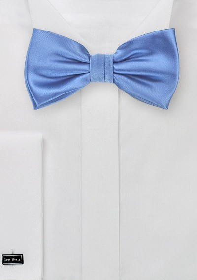 Elegant Blue Mens Bow Tie