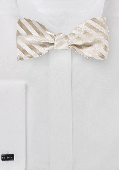 Elegant Self Tie Bow Tie in Ivory
