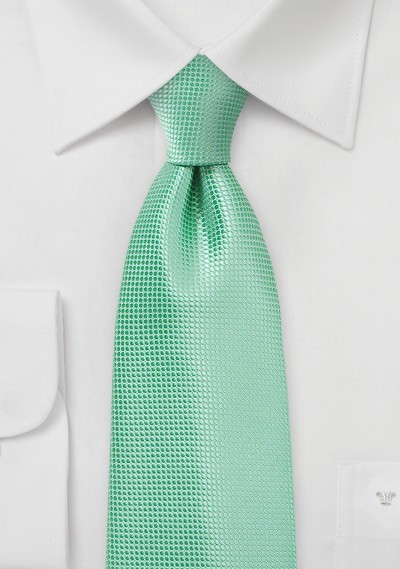 Winter Mint Color Tie in XL Length