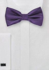 Majesty Purple Bow Tie