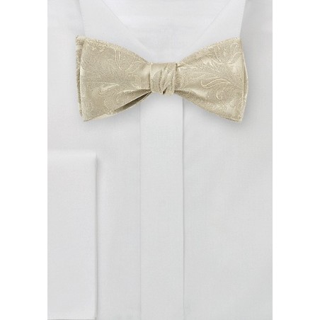 New formal Men's micro fiber pretied bow tie & hankie set paisley champagne