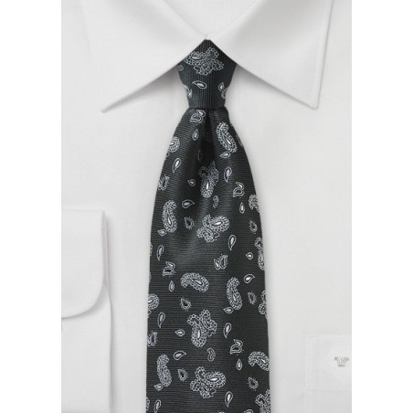 Black Tie with Silver Woven Paisleys