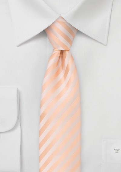 Striped Skinny Tie in Peach