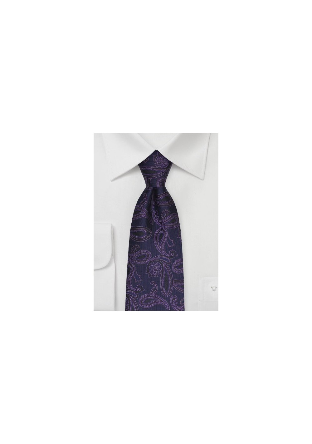 Eggplant Purple Paisley Tie