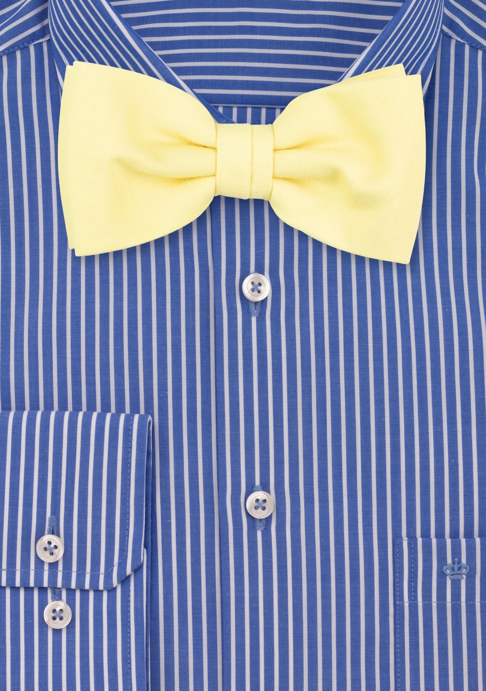 Lemon Chiffon Bow Tie by Puccini
