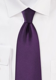 Solid Color Tie in Eggplant