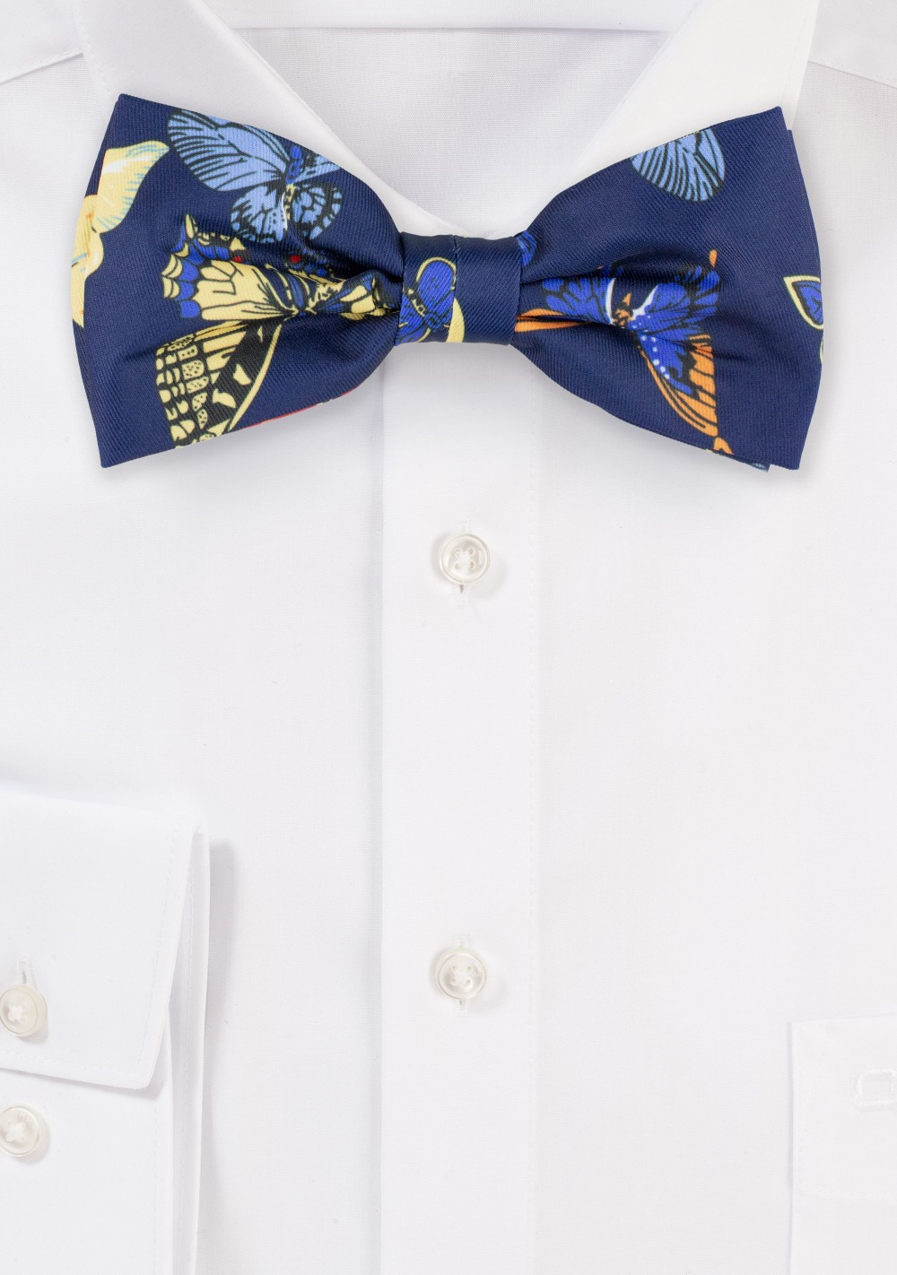 Blue Bow Ties with Butterfly Design Print