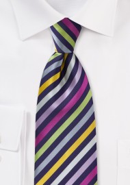 Striped Multi-Colored Kids Length Tie