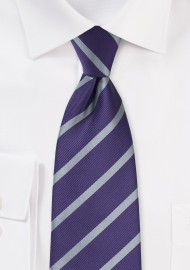Amethyst and Silver Striped Tie