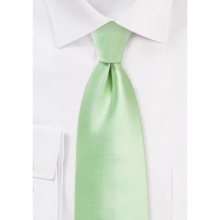 Soft Mint Wedding Tie in XL