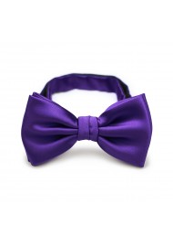 Regency Purple Bow Tie