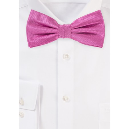 Dress Bow Tie in Begonia