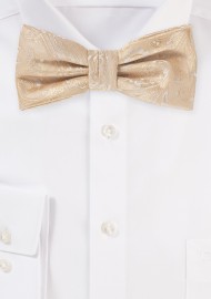 Paisley Bow in Golden Champagne