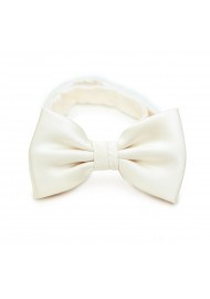Wedding Formal Ivory Cream Bow Tie