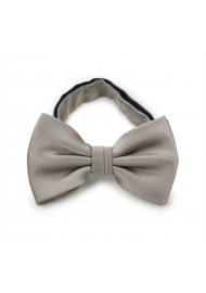 Elegant Silver Gray Bow Tie
