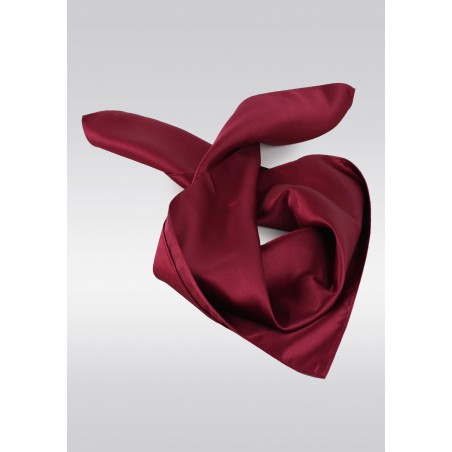Solid Burgundy Womens Neck Scarf