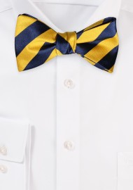 Striped Bow Tie in Yellow and Blue