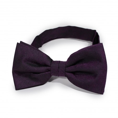 Woodgrain Texture Bow Tie in Lapis Purple
