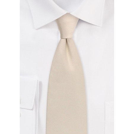 Solid Satin Tie in Champagne