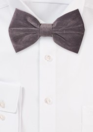 Large Butterfly Velvet Bow Tie in Charcoal Gray
