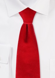 Luxe Velvet Necktie in Cherry Red