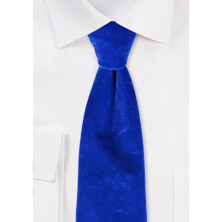Luxe Velvet Necktie in Royal Blue