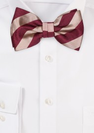 Burgundy and Gold Striped Bow Tie