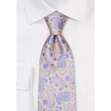 Textured Paisley Tie in Light Blue and Gold
