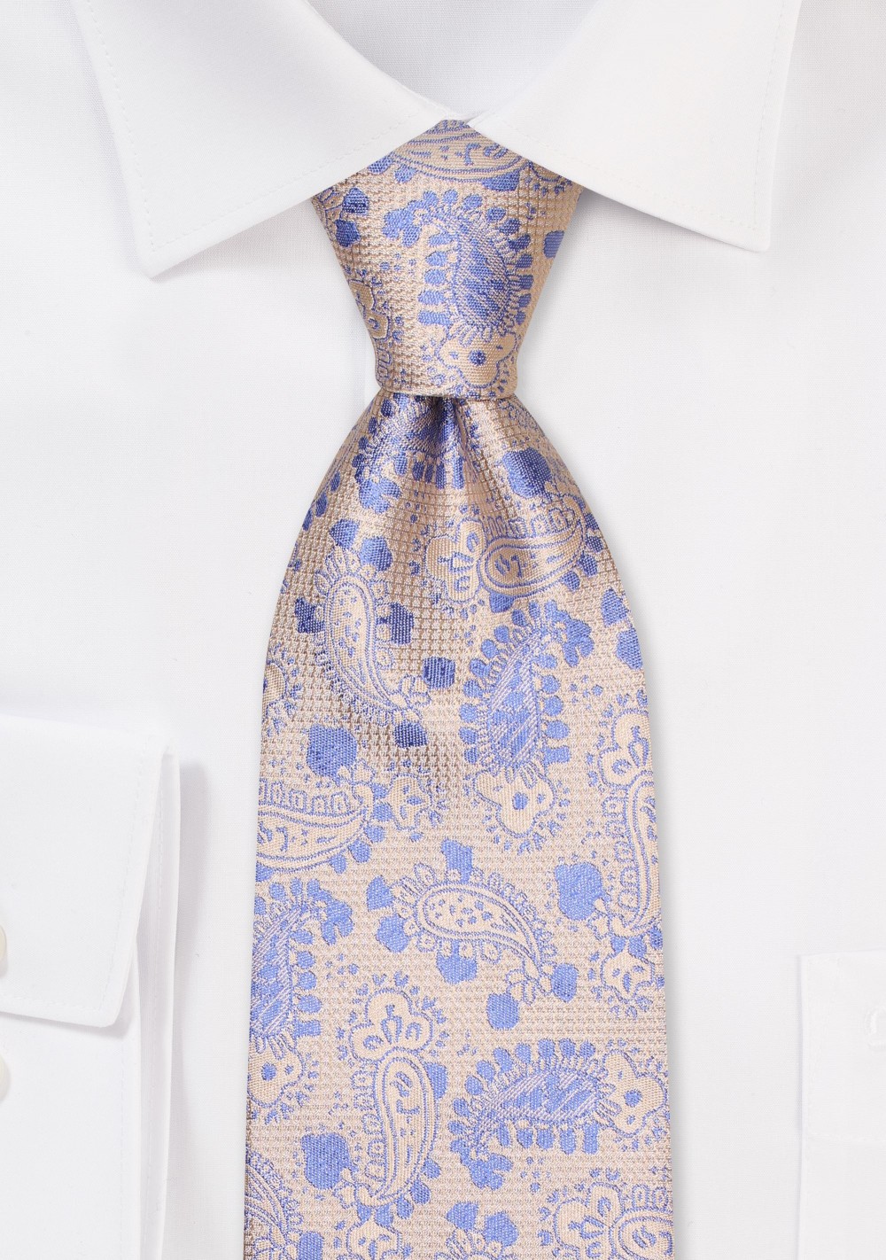 Textured Paisley Tie in Light Blue and Gold