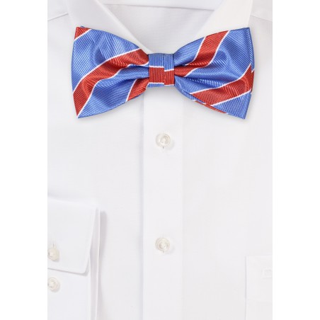 Light Blue and Brown Striped Bow Tie