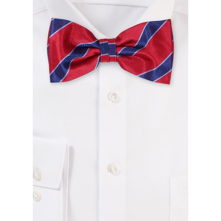 Cherry and Navy Striped Bowtie